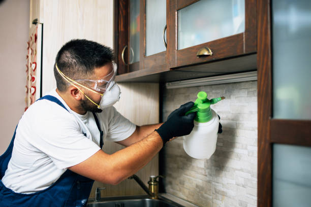 Best Residential Pest Control  in Tukwila, WA