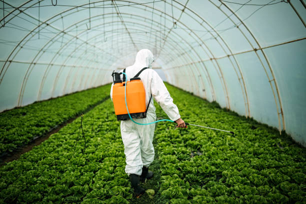 Professional Pest Control in Tukwila, WA