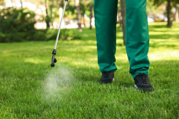 Best Local Pest Control Services  in Tukwila, WA