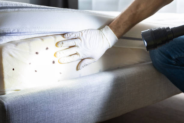 Best Pest Control Near Me  in Tukwila, WA