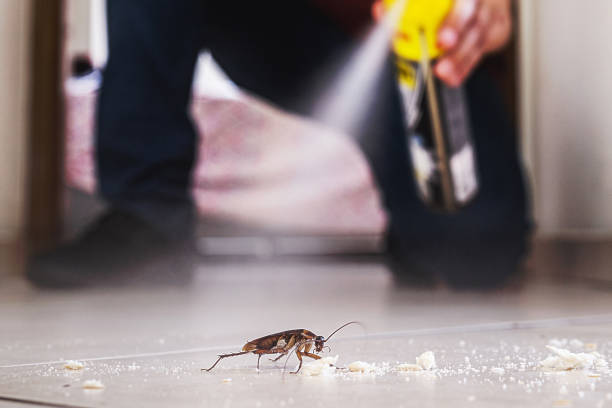 Best Pest Removal Services  in Tukwila, WA