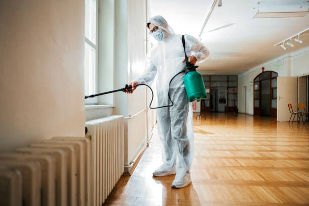 Best Pest Control Treatment  in Tukwila, WA