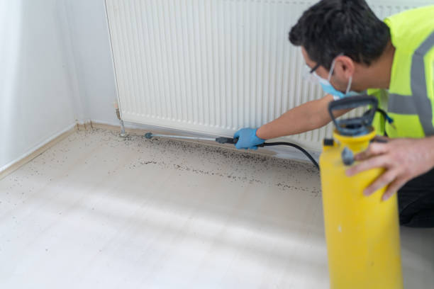 Best Exterminator Services  in Tukwila, WA